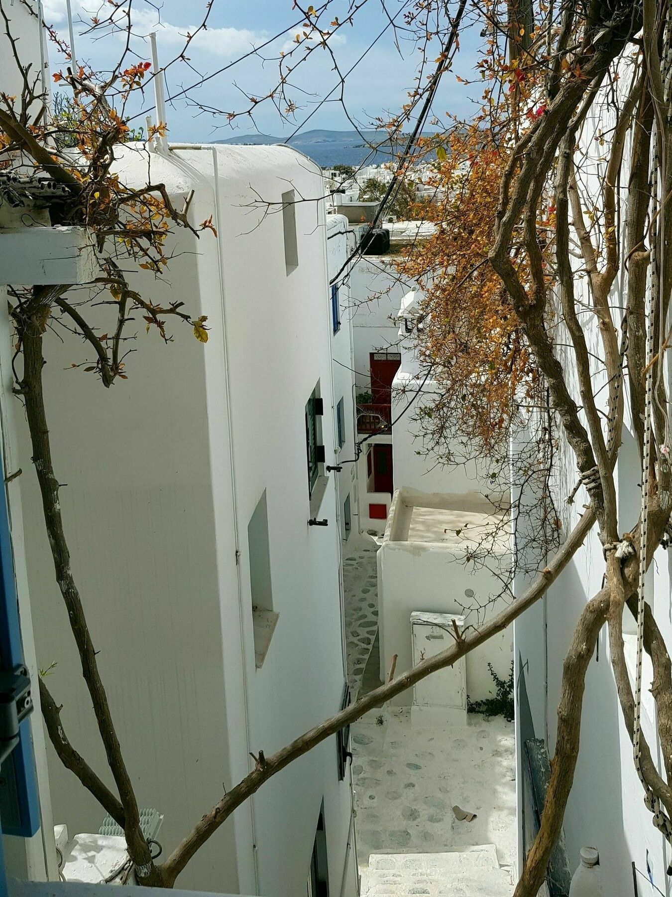 מלון Mykonos Town Lefteris מראה חיצוני תמונה